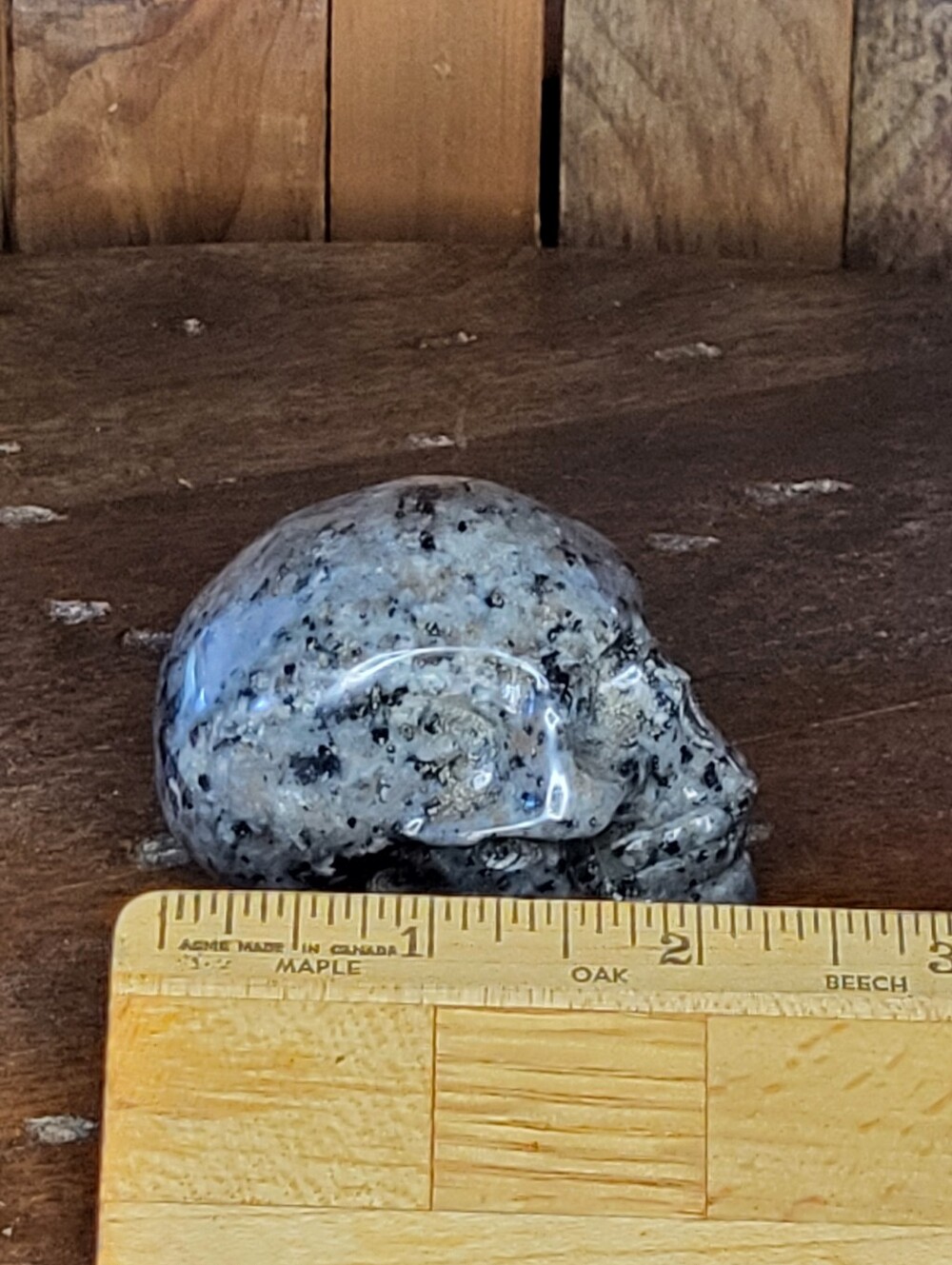 Yooperlite Skull - Picture 16 of 17